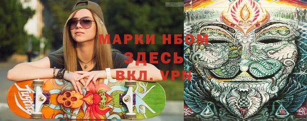 амф Арсеньев