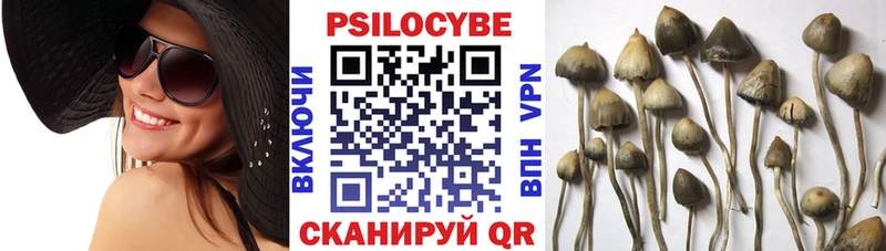 сколько стоит  Поронайск  Псилоцибиновые грибы ЛСД 